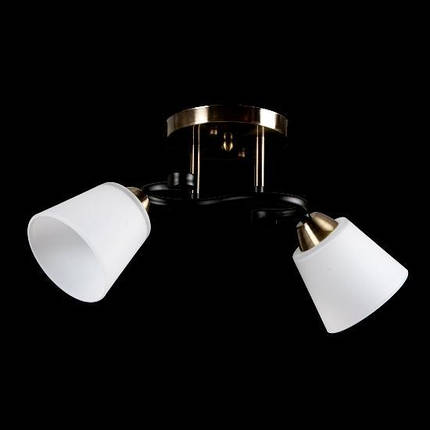 Люстра стельова на два плафони, фото 1