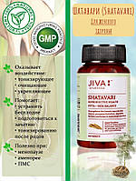 Шатаварі Джіва аюрведа 120 таб., Shatavari Tablets Jiva Ayurveda, Шатавари Джіва, тонік і омолодження