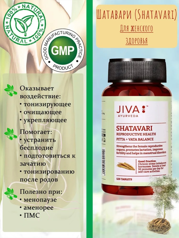 Шатаварі Джіва аюрведа 120 таб., Shatavari Tablets Jiva Ayurveda, Шатавари Джіва, тонік і омолодження - фото 1 - id-p1579188272