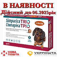 Simparica Tro Сімпарика Трио 5-10 кілограм таблетки для собак від блох, кліщів і гельмінтів