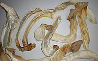 Сушеные грибы эринги (Pleurotus eryngii), 100 г.