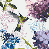 Комплект картин за номерами Riviera Blanca Веселковий сад (ITR-078) 3 шт в наборі, фото 2