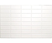 Декоративна панель Альтаїр ПВХ Туніс білий 105*65 см