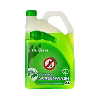 Омыватель стекла авто зимний TEMOL Winter Screenwash -22°C 4л (Зеленое яблоко)