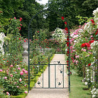 Декоративна подвійна арка для витких рослин з воротами, метал
