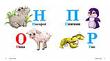Книга Абетка. Навколишній світ для найменших, фото 5