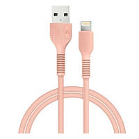 Дата-кабель Acclab AL-CBCOLOR-L1PH USB-A (тато) - Lightning (тато) 1.2m Peach (1283126518201)