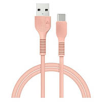 Дата-кабель Acclab AL-CBCOLOR-T1PH USB-A (тато) - USB Type-C (тато) 1.2m (1283126518263)