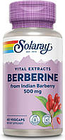 Solaray Berberine (500mg) 60 VegCaps