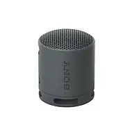 Акустика портативная Sony SRS-XB100 Black (SRSXB100B)