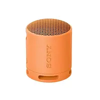 Акустика портативная Sony SRS-XB100 Orange (SRSXB100D)