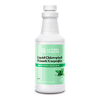 Жидкий Хлорофилл, Chlorophyll Liquid, Хлорофилл жидкий, 475 мл, Nature s Sunshine Products, США