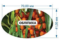 Наклейки на баночки консервації "Обліпиха", стікери для варення 70х41 мм самоклейні маркувальні