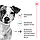 Корм для дорослих собак дрібних порід  ROYAL CANIN MINI AGEING 12+(віком від 12 років) 0.8 кг, фото 3