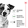 Корм для зрілих (старіючих) собак похилого віку дрібних порід ROYAL CANIN MINI AGEING 12+(від 12 років) 0.8 кг, фото 2
