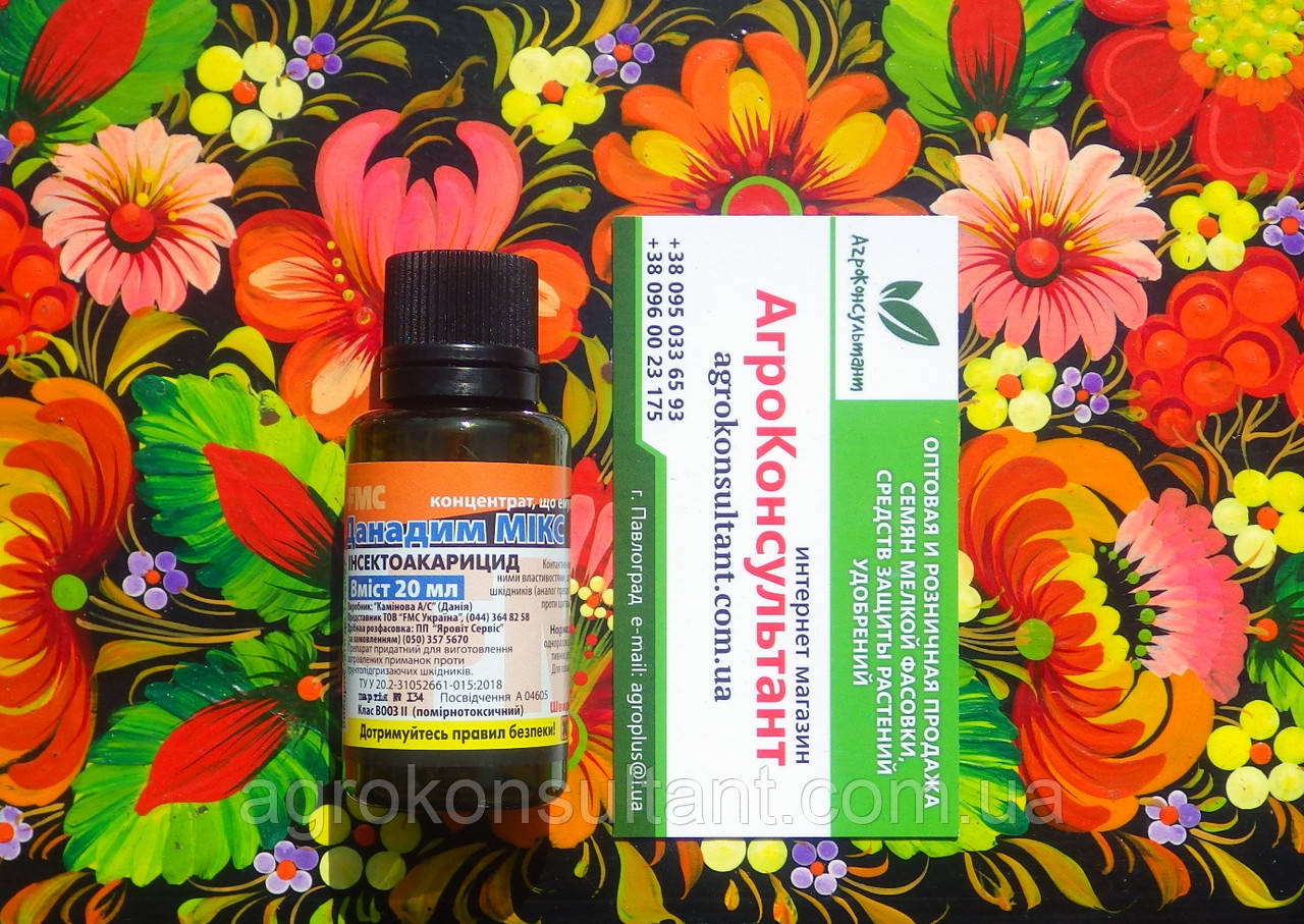 Порно блять Таня Қынаптық кондилома жақпа