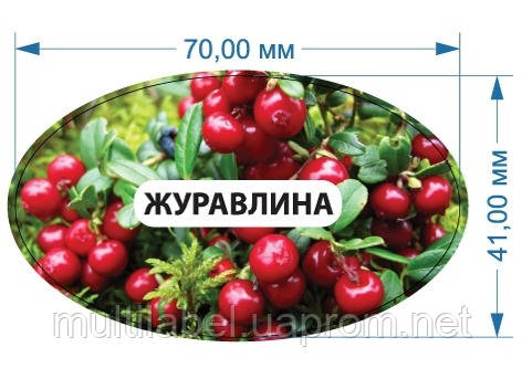 Стикеры для подписи банок "Клюква", этикетки наклейки на консервацию ...