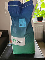 Насіння конюшини білої (низькорослий декоративний сорт Рівендел), 10 кг