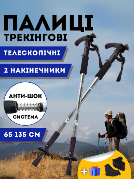 Телескопічні палиці для скандинавської ходьби палиці для трекінгу скандинавські 2 шт ENERGIA Сірий (3924-2)