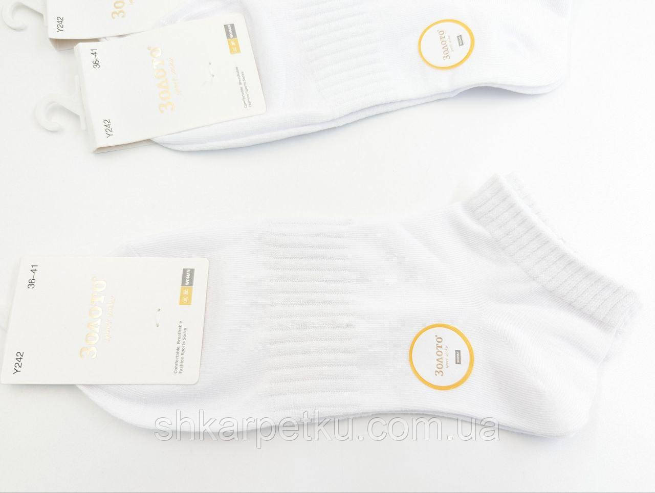 Жіночі короткі літні шкарпетки Золото, бавовна, однотонні.  розмір 36-41, 10 пар/уп білі, фото 1