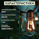 Гірлянда вулична в стилі ретро світлодіодна G20 на 10 LED ламп довжиною 5 метрів, фото 2