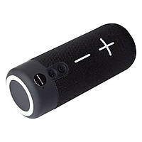 Колонка Bluetooth Borofone BR19 Euphony 10W BT 5.1 FM TF USB AUX TWS Черный