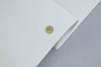 Стельовий автовелюр Micro S39, колір світло-сірий, срібний,на поролоні, товщ. 4мм шир. 170см, Туреччина