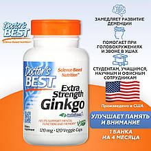 Екстракт Гінкго Білоба США (Extra Strength Ginkgo) 120 мг 120 капсул, нормалізує тиск, пам'ять, гіпертонія