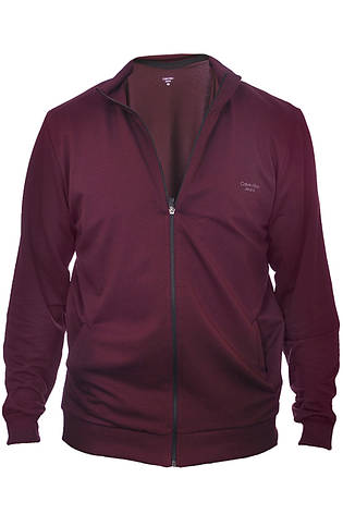Кофта спортивна чоловіча Calvin Klein 24-0042-1 бордова, фото 1