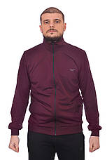 Кофта спортивна чоловіча Calvin Klein 24-0042-1 бордова, фото 3