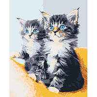 Картина по номерам Голубоглазые котята 40*50 см АРТ-КРАФТ (11617-AC)