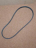 Ремінь генератора 2.4 Brilliance Бриллианс 1.8 Brilliance M1 M2 BS4 BS6 Бриллианс М1 М2 Брілліанс, фото 2