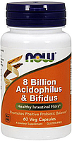 Біфідобактерія NOW 8 Billion Acidophilus Bifidus 60 капс