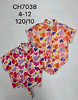 Рубашки для девочек оптом, S&D, 4-12 лет, № CH-7038