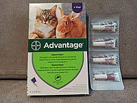 Bayer Advantage Cat 80 - капли Байер Адвантейдж 4-8 кг от блох для кошек и декоративных кроликов за 4 пипетку