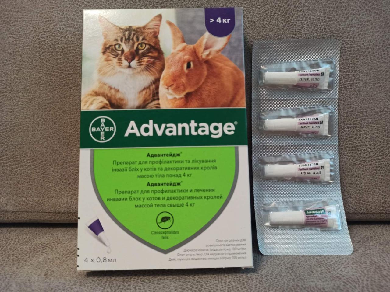 Bayer Advantage Cat 80 — краплі Байер Адвантейдж 4-8 кг від бліх для котів і декоративних кроликів за 4 піпетки