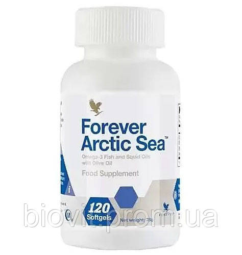 Форевер Арктичне море (Forever Arctic Sea)