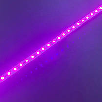 LED фітолінійка LT SMD2835 72led 20W 12V IP20 повний спектр 405-830нм (phyto-line-2835-12-fs) 42101, фото 2