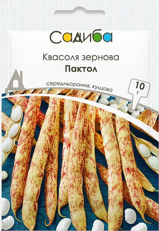 Насіння квасолі зернової Пактол, 10 г, Садиба, фото 1