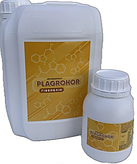 PLAGROHOR