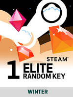 Winter Random 1 Key ELITE для ПК (Ключ активації Steam) регіон Весь світ