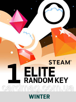 Winter Random 1 Key ELITE для ПК (Ключ активації Steam) регіон Весь світ, фото 1