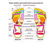 Рефлекторні масажні капці 40-41р, Massage Slipper, Масажне взуття для стоп. Акупунктурний масаж, фото 3