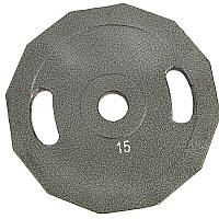 Блины диски стальные окрашенные FDSO Champion Newt NT-5221 15 кг Серый (58508119)