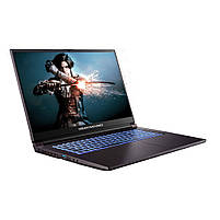 Ноутбук Dream Machines RG2050-17 (RG2050-17UA25), фото 3