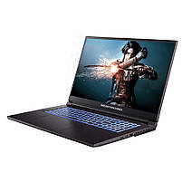 Ноутбук Dream Machines RG2050-17 (RG2050-17UA25), фото 4