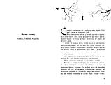 Серафіна. Книга 3. Серафіна і розколоте серце. Роберт Бітті, фото 4