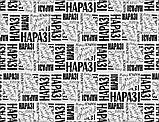 Школа добра і зла. Книга 5. Кристал часу. Зоман Чейнані, фото 6