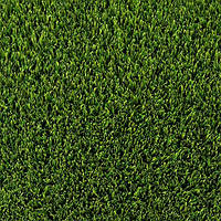 Декоративна трава Betap Maryland 40 мм 4.0m
