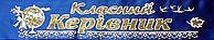 Класний керівник - стрічка атлас, глітер, обводка (укр.мова) Синий, Золотистый, Белый, Украинский
